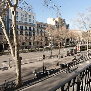 Paseo De Gracia Barcellona